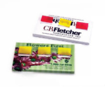 Page Marker Adhesive Flags